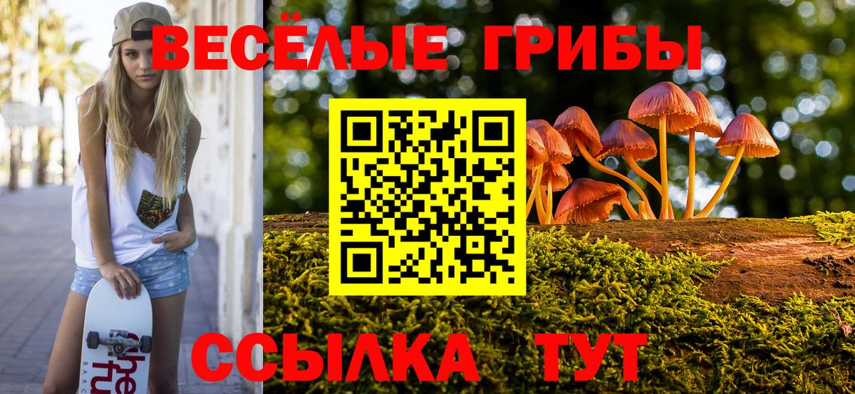 Галлюциногенные грибы Magic Shrooms Выборг