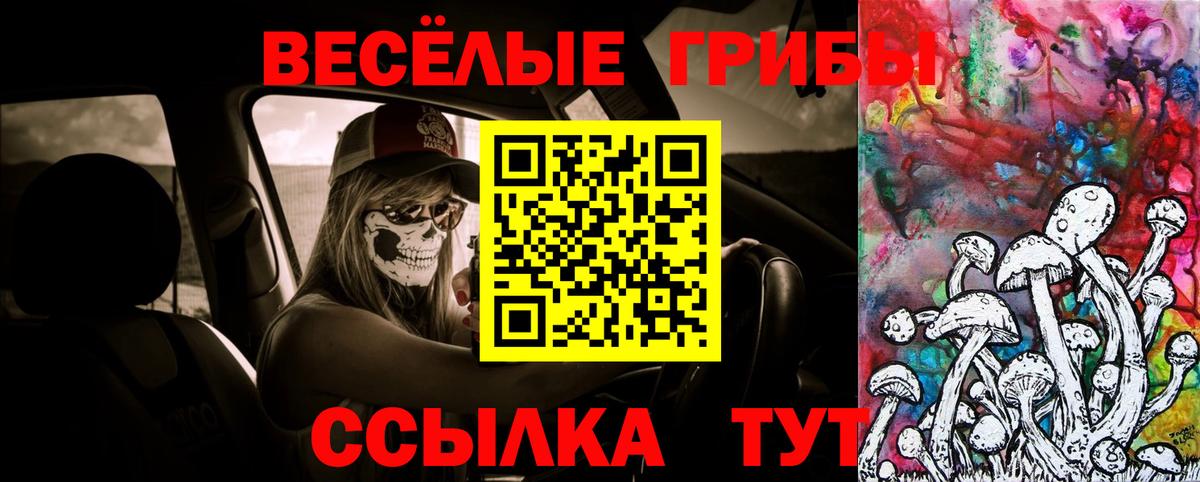 Галлюциногенные грибы ЛСД  Галлюциногенные грибы прущие грибы  Вход с VPN  Выборг 