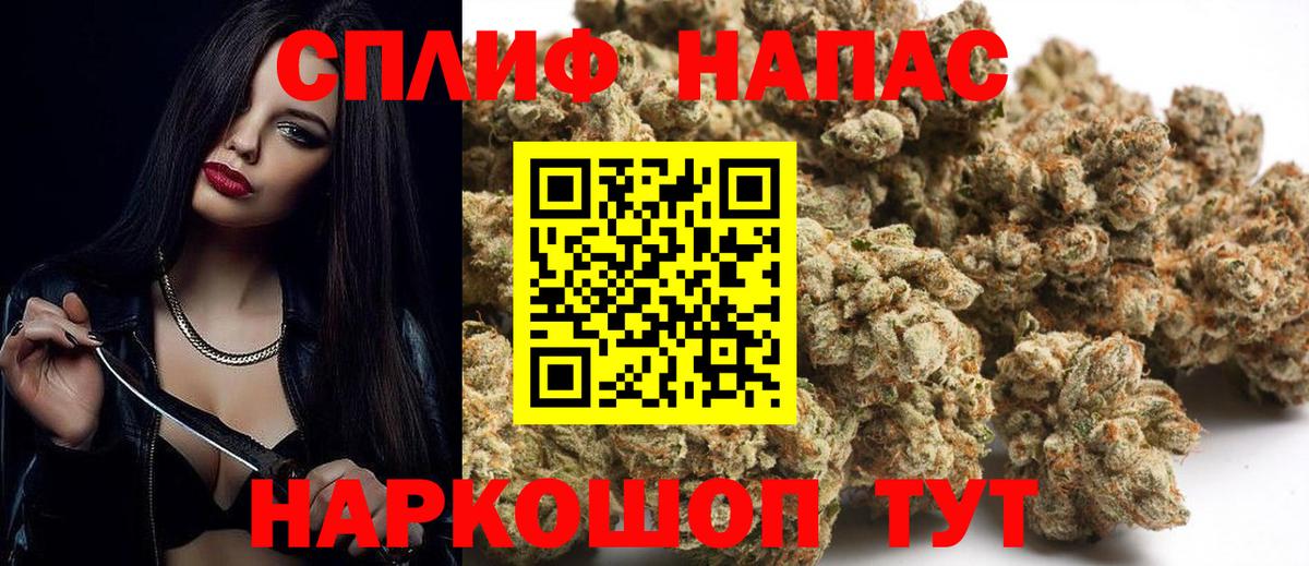 Марихуана сатива Выборг